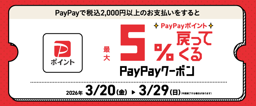 20260320PayPayビッグバナー