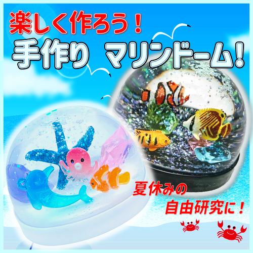 MD告知POP.png