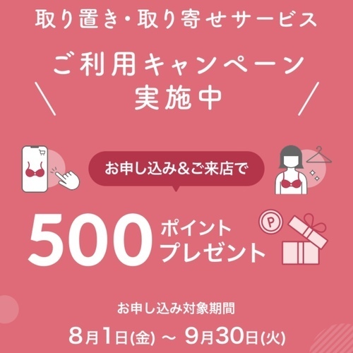 ˚✧₊⁎取り置き取り寄せサービス実施中⁎⁺˳✧༚