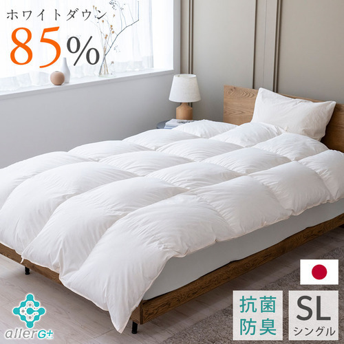 ブラックフライデー