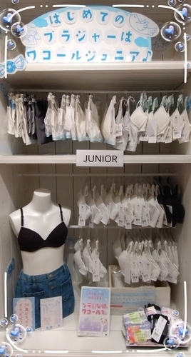 【新生活応援】ワコールジュニア