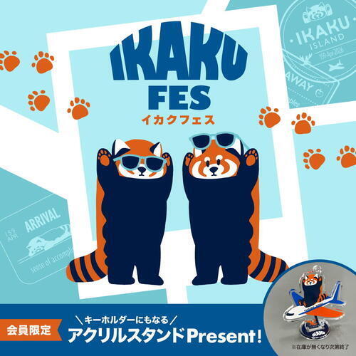 イカクフェスの画像