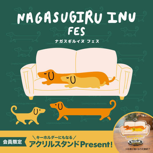 ナガスギルイヌフェス開催中‼