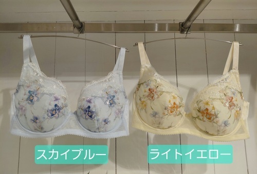カラバリ