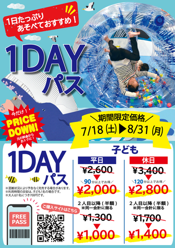 1DAY