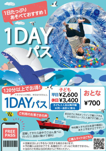 1DAY