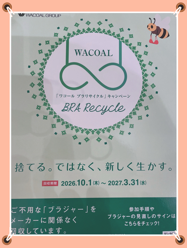 ブラ1